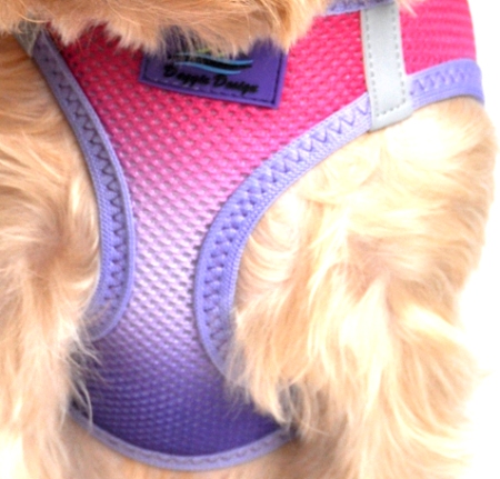 Doggie Design - Raspberry Sundae Choke-Free Mesh Harness - NEW for Spring 2015  Our latest Patented Ombre American River Choke Free Harnesses.