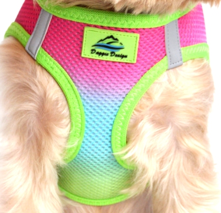 Doggie Design - Rainbow Choke-Free Mesh Harness - NEW for Spring 2015  Our latest Patented Ombre American River Choke Free Harnesses.