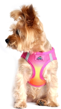 Doggie Design - American River Cool Mesh Choke-Free Harness - Raspberry Pink and Orange - Doggie Design is the FIRST and ONLY company in the world to create this Exciting New Ombre Harness Design. They used their own special color blending technique to create a beautiful Palette of Rainbow Colors. Doggie Design is the ONLY company that makes this Step in Mesh Choke Free Design in reinforced large dog sizes, up to size XXXL (approx 90 Lbs.).