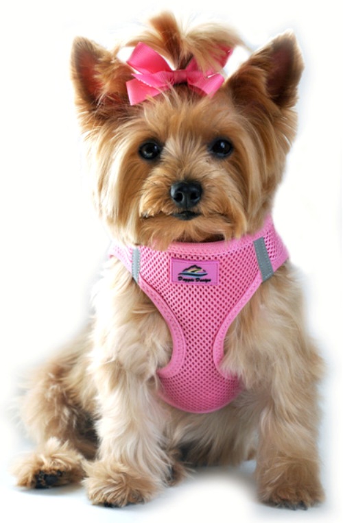 Doggie Design - American River Ultra Choke-Free Harness - Candy Pink - The American River Choke Free Dog Harness is the same Patented Design as our Ultra USA Choke Free Harness, but with a few different cosmetic changes. WHAT Makes the Ultra Choke Free Patented Design Unique from other Dog Harnesses? Trachea Safe - Choke Free Patented Design Pulls from the Chest ONLY. Patented Conforming Shape Fit Seam Technology - Causes harness to conform to Dogs Chest curve. Patented Closure Slide Adjustability (Other copy cat harnesses have little or no size adjustment), Our 3 Inch Webbing allows for 3 Inches of Size Adjustment. Double D-Ring Adds Strength. Same Color trim binding as the mesh. Safe Night Walking Reflective strips. Zig Zag Trim Binding Stitch - Prevents Missed Stitches and creates a Super Strong BOND. Safety - The Ultra is the perfect design for use as a Seat Belt Harness, PULLS from the Chest, not the Neck. Double Safety Closure - Velcro and High Strength Plastic Side Release Buckle. Simple Step-in, Wrap Up and Go Design. Soft Mesh Polyester / Machine Wash and Line Dry.