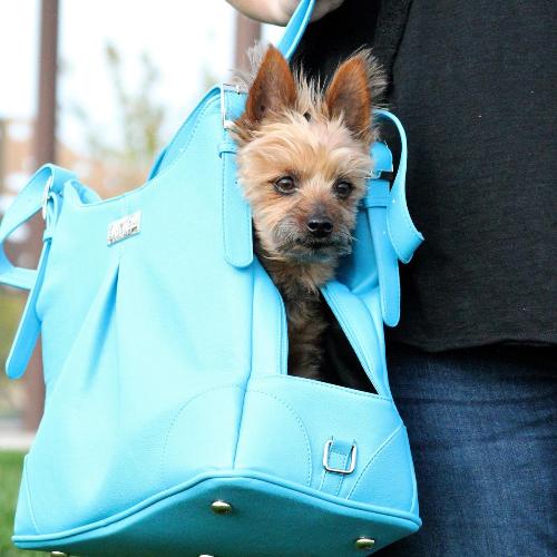 Doggie Design - Sea Glass Mia Michele Faux Leather Carry Bag - Airline Approved. Doggie Design's new Sea Glass Carry Bag was made to look like a Womans Designer Hand Bag. Now you can take your little Angel with you wherever you go and NO ONE will ever know whats inside your bag. It features High Quality Faux Leather and is lined with Satin Black Waterproof Fabric. Your little Angel will LOVE the super soft plush pillow with removable and washable cover. The inside pillow is covered with waterproof fabric. The Sea Glass Bag features 2 large pockets for storage. It has plenty of room for your personal items, including your I-Pad or Tablet. Sea Glass is vented on the top and can be concealed for Privacy.  Includes shoulder strap, leash tether, and has metal feet on the bottom to provide protection to the bag.