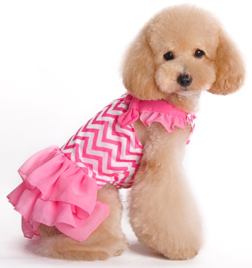 DOGO Design - Chevron Dress - Chevron patterned dress with 3-tier layered ruffled skirt and ruffled shoulder straps accented with bows. Leash hole.