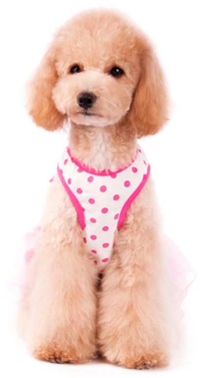 DOGO Design - Dot N Ruffle Dress - Bright and princess style look featuring polka dot patter with pretty ruffles complege with sweet pink bow. She is sure to be the center of attention. Stretch cotton bodice with convenient leash hole. 