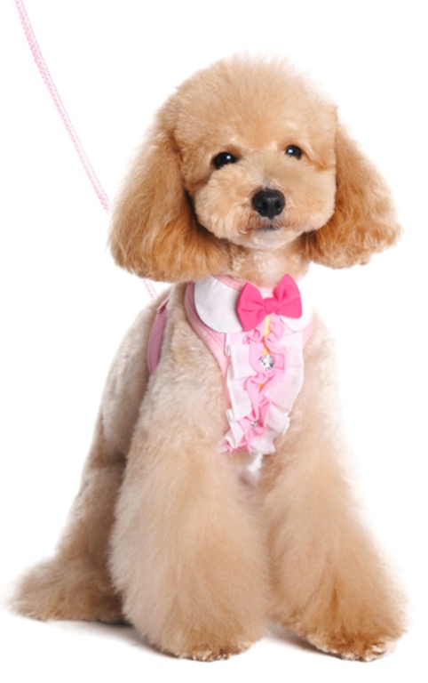 DOGO - EasyGo Ruffle Step-In Harness with Leash - Pretty ruffle with rhinestones and a pink bow.  The best all-in-one soft harness.  Easy, safe, and comfortable to wear.  It features buckless step-in design that is secured by a simple slide down clip.  Matching leash is included with every EasyGO!