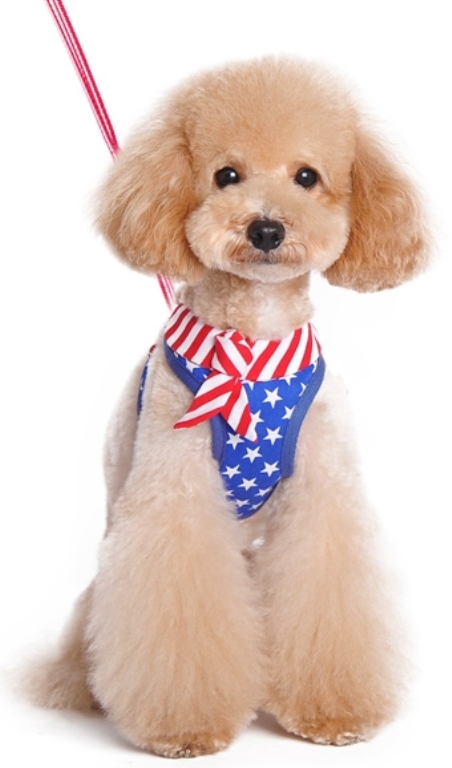 DOGO - EasyGo USA Step-In Harness with Leash - American Flag themed with stars and stripes accented with a sailor tie.  The best all-in-one soft harness.  Easy, safe, and comfortable to wear.  It features buckless step-in design that is secured by a simple slide down clip.  Matching lead is included with every EasyGO!