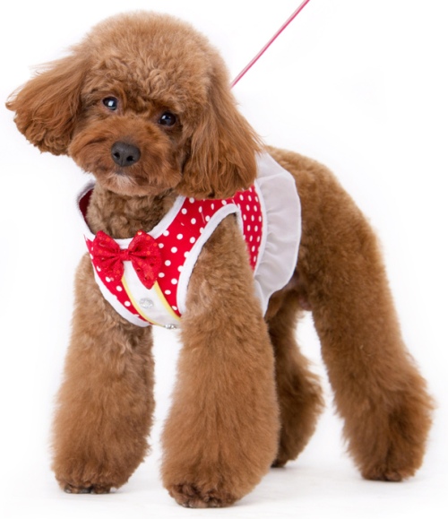 DOGO Snap Go Mini Dots Harness - Polka dotted design accented with red bowtie and decorative rhinestone buttons.  SnapGO is a soft vest styled harness.  Step in, snap the buckle, adjust girth tightness with Velcro closure, attach the lead to two D rings and GO!