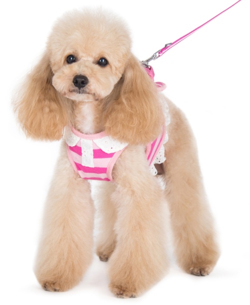 DOGO Design - SnapGO Polo Girl Pink Harness - Stripe design with polo shirt like collar, decorative buttons.  Eyelet collar, button placket, and ruffle trim.  SnapGO is a soft vest styled harness.  Step in, snap the buckle, adjust girth tightness with Velcro closure, attach the lead to two D rings and GO! 