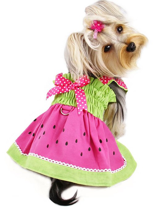 Klippo Pet - Juicy Watermelon Sundress with D-Ring - Adorable and juicy watermelon sundress with attached large D-ring for easy leash attachment!  Accented with hot pink ribbon with white polka dots on the shoulder straps and a matching bow on the back.  A small D-Ring attached near the neck area to add on a "Klippo" charm or ID tag! (Each outfit comes in its own Klippo logo charm.).